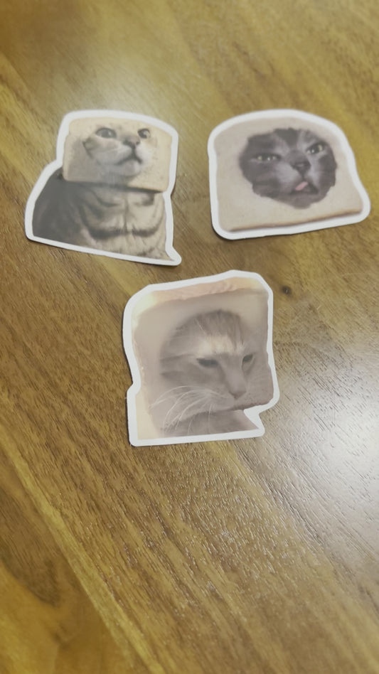 Cats in Bread Stickers 3-pack!