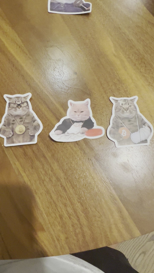 Crypto-billionaire Cat Stickers 3-pack